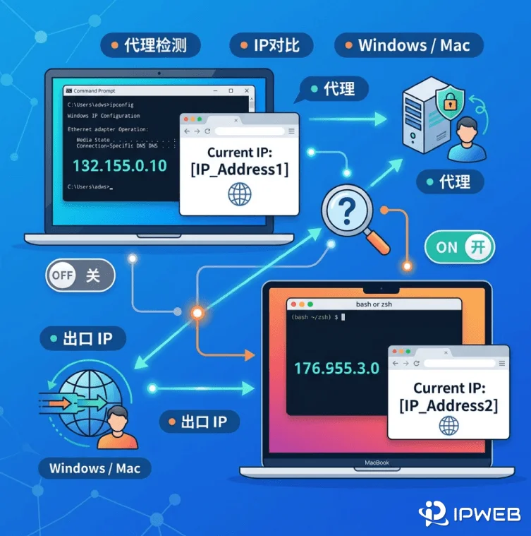 电脑上怎么查代理出口 IP(Windows / Mac)